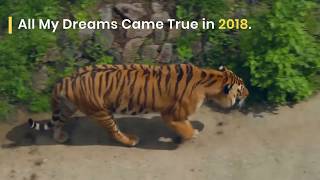 Wild Beasts disbanded in 2017 and released their final #MyDreams #WildBeasts