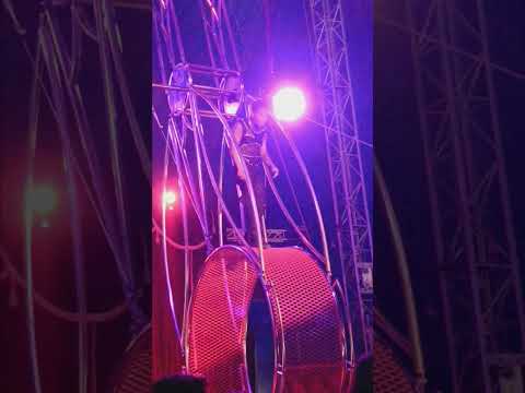 he is crazy #doPortugal circus