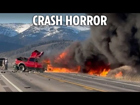 Seven killed after tourist bus crashes and bursts into flames at national park