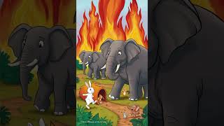 The Friendly Elephant and the Shy Rabbit 🐇🐇🐇🐇🐇🐇🐇