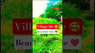 village life❤️ #part7 #village #nature #shorts