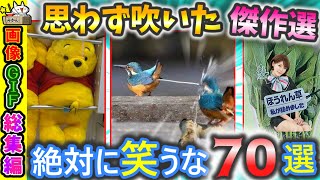 【傑作選】笑いすぎ注意！禁断の面白画像70選【2ch】