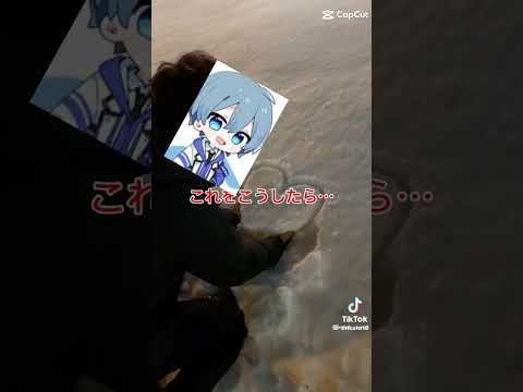 逆ver.！✨(そして翔ちゃんは振られてしまいました…(?) #いいねやチャンネル登録よろしくね #テンプレートお借りしました #翔KAI