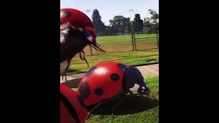 Cartoon Animation | #shorts #animationhacks #animation #tasktime #3d#2d #ChineseCartoon#Funny