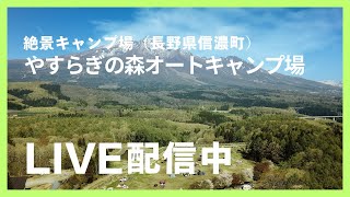 本日のやすらぎの森オートキャンプ場LIVE