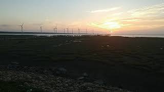 高美濕地日落