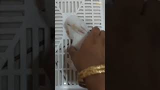 🐰 MODI Ji's CUTE BUNNY #ei360 #bunny #cute #cuteness #shorts #shortvideo #funnyshorts #youtubeshorts