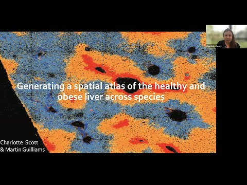 Generating a spatial atlas of the healthy and obese liver across species