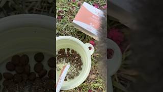 維舒康 益ALL勁｜毛寶最強力的護盾