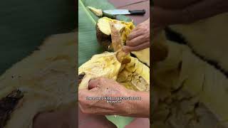 Jackfruit