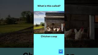 Can you Guess ? Nouns #shorts #english #englishvocabulary #vocabulary #fun #quiz #learn #trending