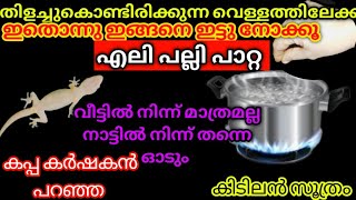 100% എലി പല്ലി പാറ്റ വീട്ടിൽ നിന്ന് മാത്രമല്ല നാട്ടിൽ നിന്ന് തന്നെ ഓടും!Easy Powerful Rat Repllent