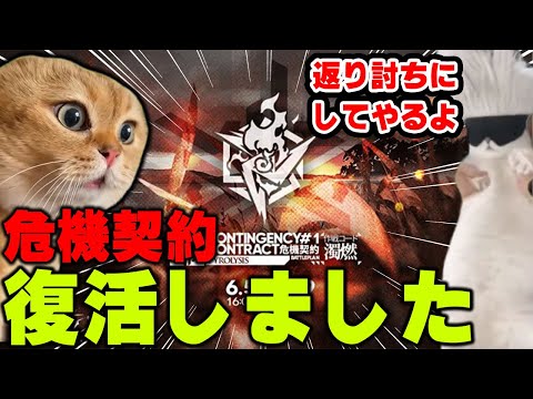 復活した危機契約VS猫【アークナイツ】