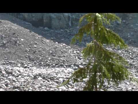 carbon glacier, mt rainier