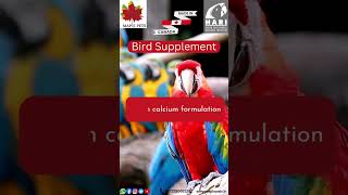 Parrot Food #hari #maplepets #madeincanada #notmadeinchina #prime