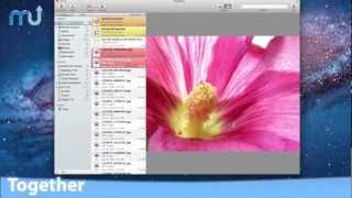 Together Screencast - MacUpdate Promo