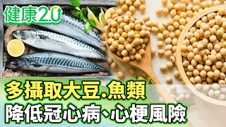 多攝取大豆.魚類 冠心病風險降4成.心梗減6成【健康2.0 分段】@tvbshealth20   EP3014-3  20250427 #陳欣湄 #韋汝 #康志森 #洪暐傑 #陳少偉