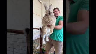 Nature stories 75#naturestories #animals