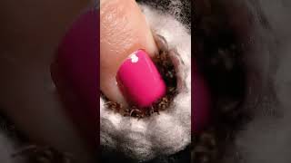 She touched the wrong nest…😨🕷️ #ASMR