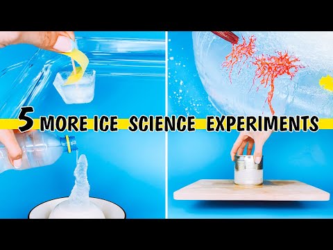 Ice Science Experiments for kids to do at home