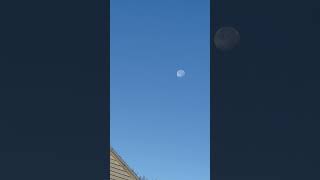 Moon Out in day time #fypシ #fypyoutube #moon #daymoon #shortvideo #shortsyoutube #fypシ゚viral