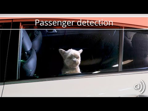 Passenger detection