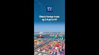 Xinhua News | China's foreign trade up 2.9 pct in H1