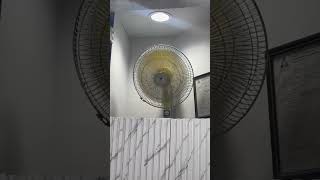 rare standard wall fan SWF 16M #shorts #standard￼