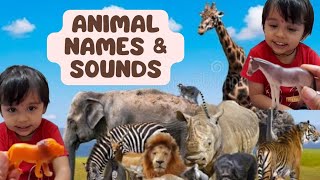 10 amazing animals and their incredibly bizarre sounds