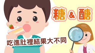 糖vs.醣 傻傻分不清？！ 糖尿病患者為什麼要控血糖？｜NOW健康