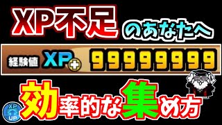 【にゃんこ大戦争】経験値（XP）を効率よく集める！初心者、中級者以上向けにそれぞれ解説【The Battle Cats】