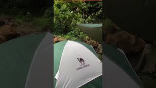 Coleman Vs Camel Crown tent! Which is tougher? #coleman #camelcrown #camping