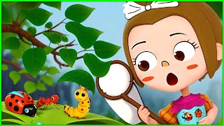 Toddler Bug Hunt! Fun Insect Song & Learning Adventure