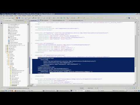 Appfuse and Spring LDAP Authentication 2