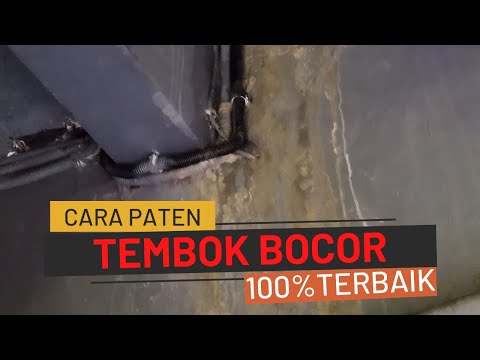 Cara Mengatasi Tembok Lembab BOCOR
