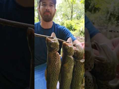 Fly Fishing and Trout Tacos 🎣