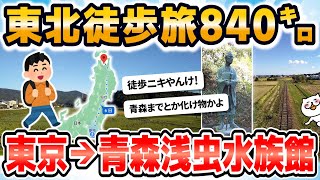 【旅スレ】【徒歩ニキ】【実況】東京駅から青森浅虫水族館まで歩く