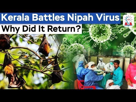 The Deadly Nipah Virus Has Resurfaced in Malappuram of Kerala I Health Crisis Explained