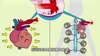 解密乳鐵蛋白：6分鐘向你介紹身體的健康守護者！