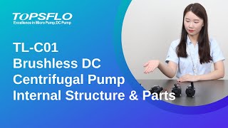 TL-C01 Internal Structure&Components of Brushless DC Centrifugal Pump