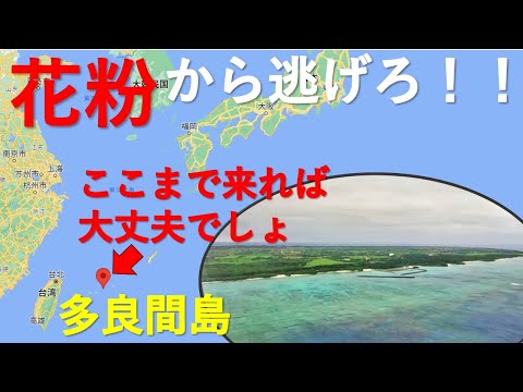 【多良間島 ダイビング】鼻づまりから解放されて超快適！！石垣島と宮古島の間に浮かぶ離島の海中の景色とビーチと宿をご紹介