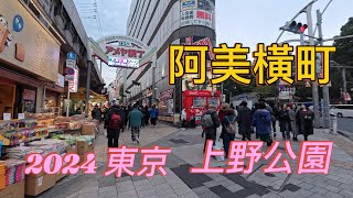 東京自由行  ｜上野阿美橫町 ｜上野恩賜公園 ｜賞楓銀杏輕鬆旅行 全程拍攝 2024