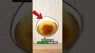 What is the Mother in Apple Cider Vinegar?