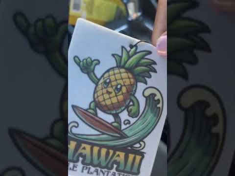 My souvenir from Oahu