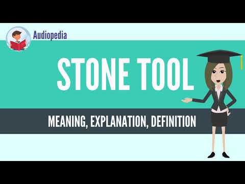What Is STONE TOOL? STONE TOOL Definition & Meaning