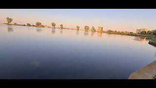 Sofaia - Swan lake ( official music video ) 