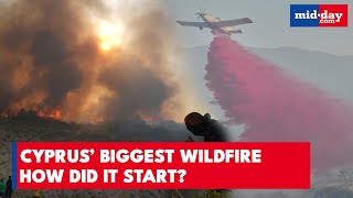 Cyprus Wildfire Explained: How Cyprus’ Deadly Wildfire Started?