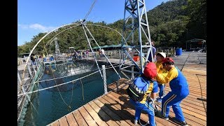 ✅  新冠肺炎疫情讓日月潭遊客數量銳減，卻也讓環境生態意外獲得「喘息」的機會，日月潭漁會最近將結合業者，共同整頓日月潭水下生態...