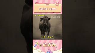 細思極恐的牛郎織女暗黑版#牛郎織女 #細思極恐 #AI生成 #民間故事