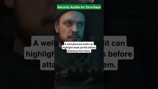 Security Audits for Zero-Days